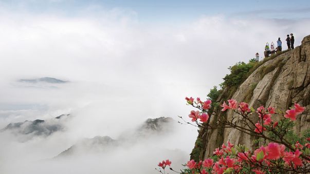 花台景点