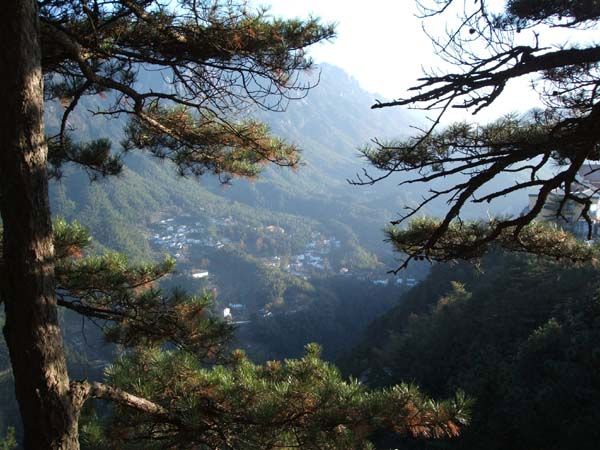 闵园景点