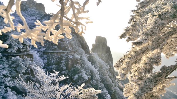 花台雪景